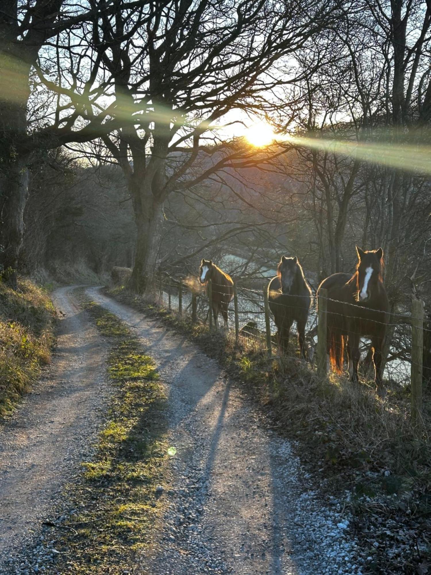The Cowshed Bed & Breakfast Llangollen Bagian luar foto